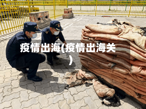 疫情出海(疫情出海关)-第3张图片