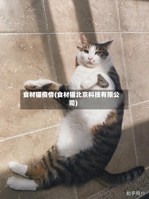 食材猫疫情(食材猫北京科技有限公司)-第2张图片