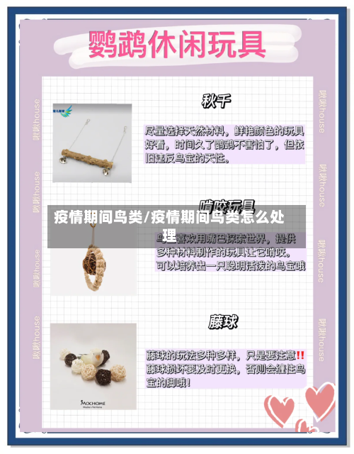 疫情期间鸟类/疫情期间鸟类怎么处理-第2张图片