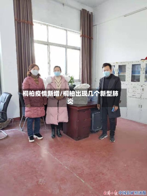 桐柏疫情新增/桐柏出现几个新型肺炎-第2张图片