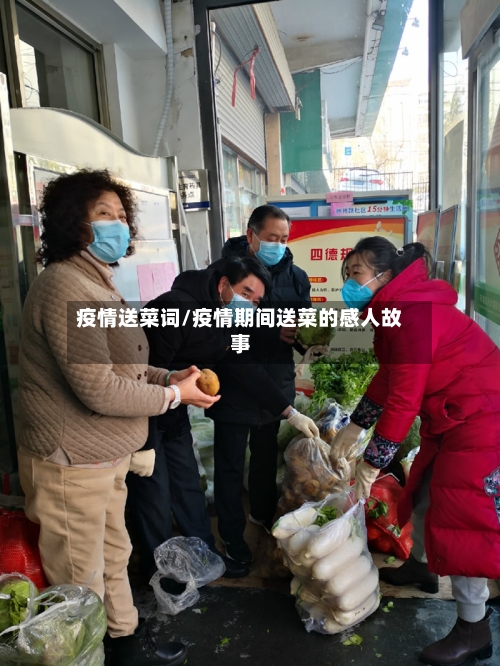 疫情送菜词/疫情期间送菜的感人故事-第2张图片