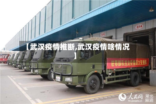 【武汉疫情推断,武汉疫情啥情况】
