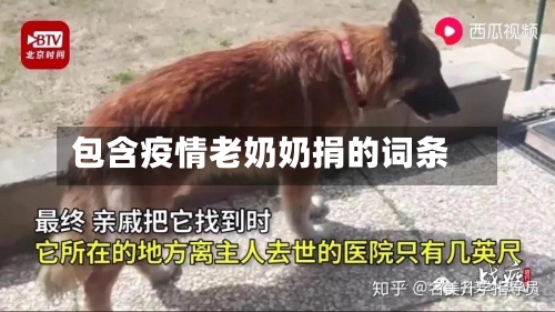 包含疫情老奶奶捐的词条