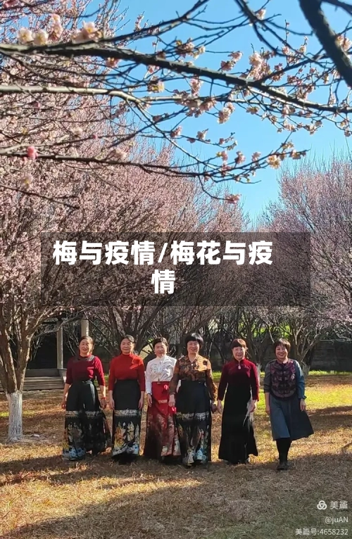 梅与疫情/梅花与疫情