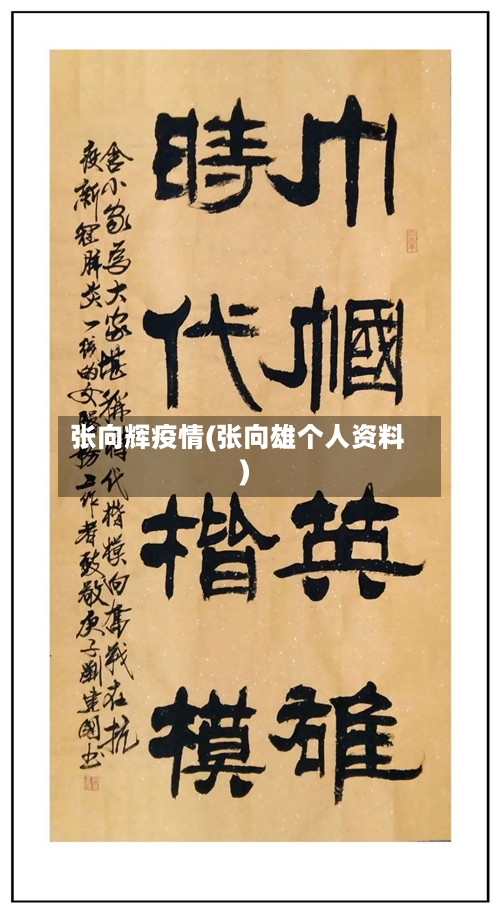 张向辉疫情(张向雄个人资料)-第2张图片