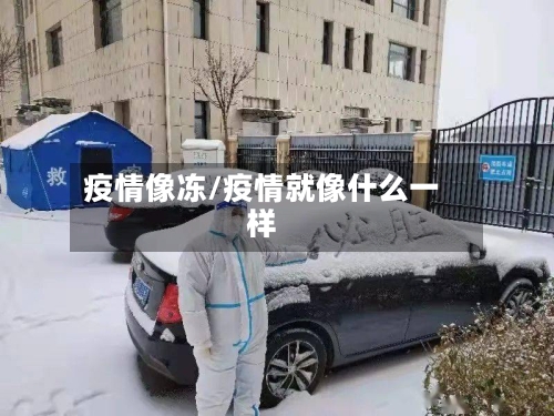 疫情像冻/疫情就像什么一样