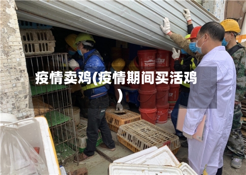 疫情卖鸡(疫情期间买活鸡)