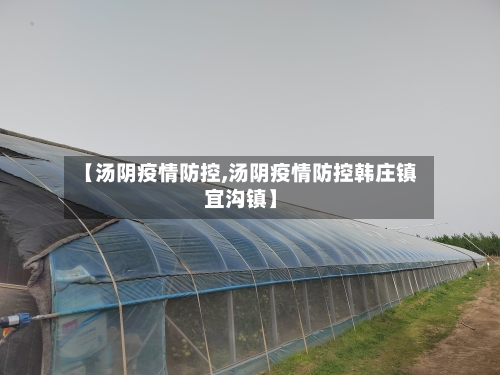 【汤阴疫情防控,汤阴疫情防控韩庄镇宜沟镇】