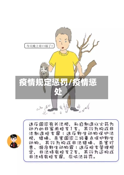 疫情规定惩罚/疫情惩处