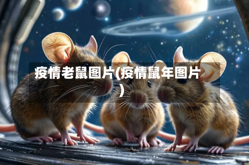 疫情老鼠图片(疫情鼠年图片)