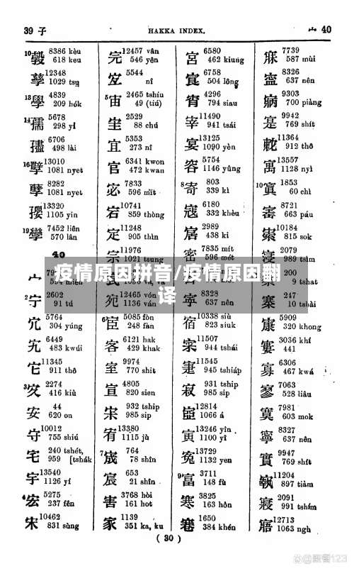 疫情原因拼音/疫情原因翻译
