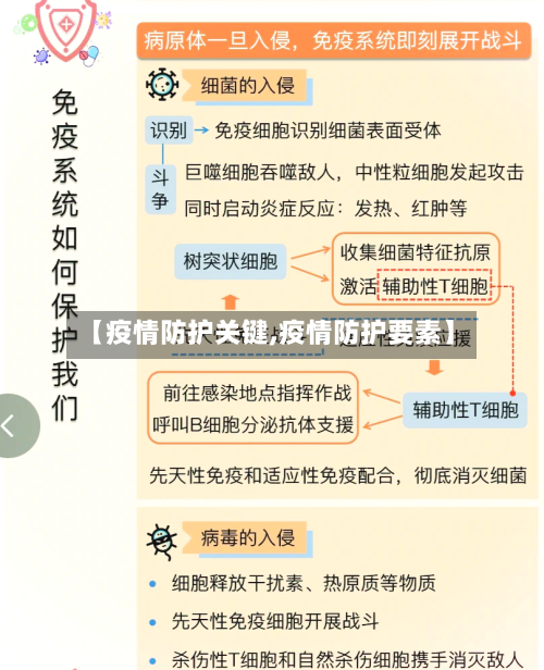 【疫情防护关键,疫情防护要素】