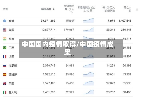 中国国内疫情取得/中国疫情成果