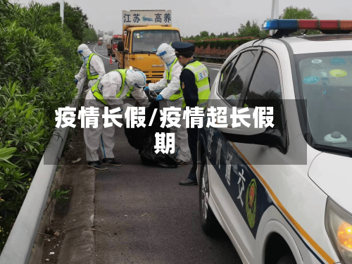 疫情长假/疫情超长假期-第2张图片