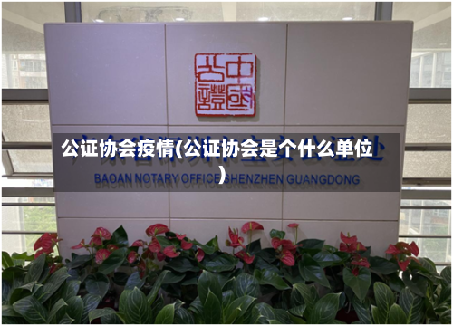 公证协会疫情(公证协会是个什么单位)-第3张图片