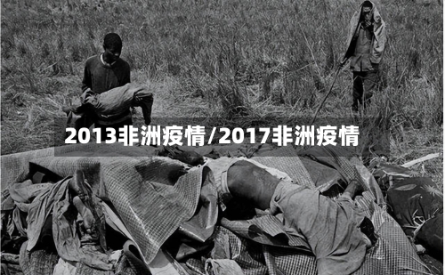 2013非洲疫情/2017非洲疫情