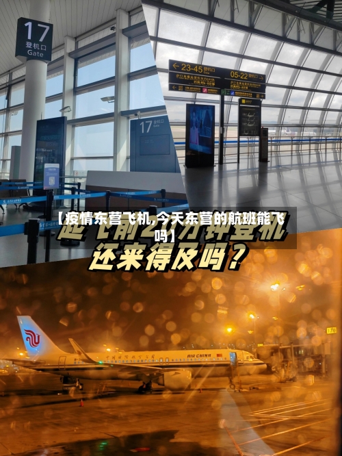 【疫情东营飞机,今天东营的航班能飞吗】-第3张图片