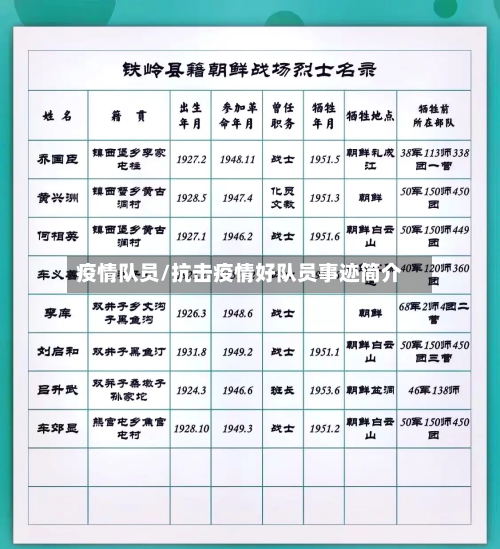 疫情队员/抗击疫情好队员事迹简介