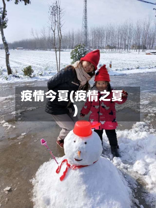 疫情今夏(疫情之夏)
