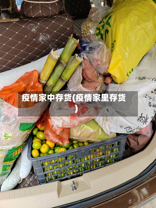 疫情家中存货(疫情家里存货)