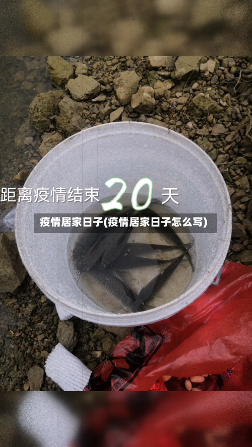 疫情居家日子(疫情居家日子怎么写)-第2张图片
