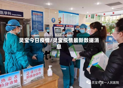 灵宝今日疫情/灵宝疫情最新数据消息-第2张图片