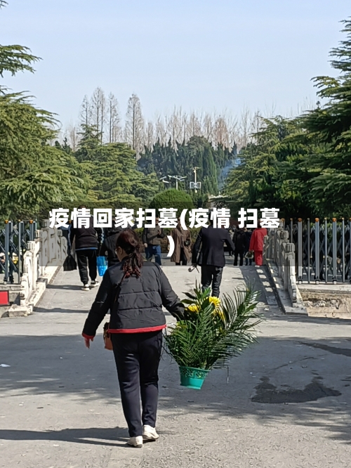 疫情回家扫墓(疫情 扫墓)