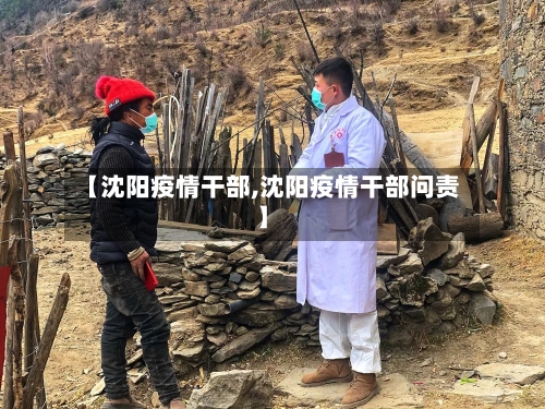 【沈阳疫情干部,沈阳疫情干部问责】