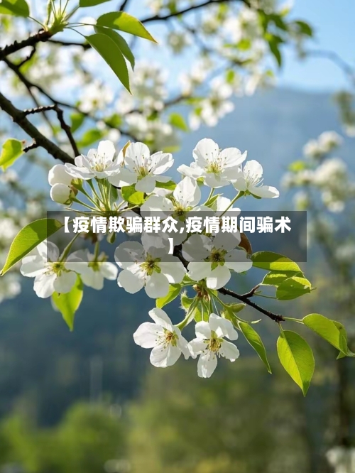 【疫情欺骗群众,疫情期间骗术】