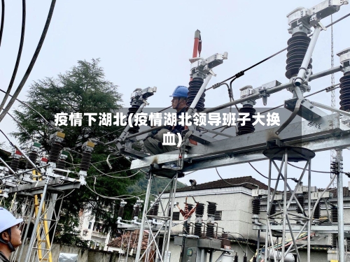 疫情下湖北(疫情湖北领导班子大换血)-第2张图片