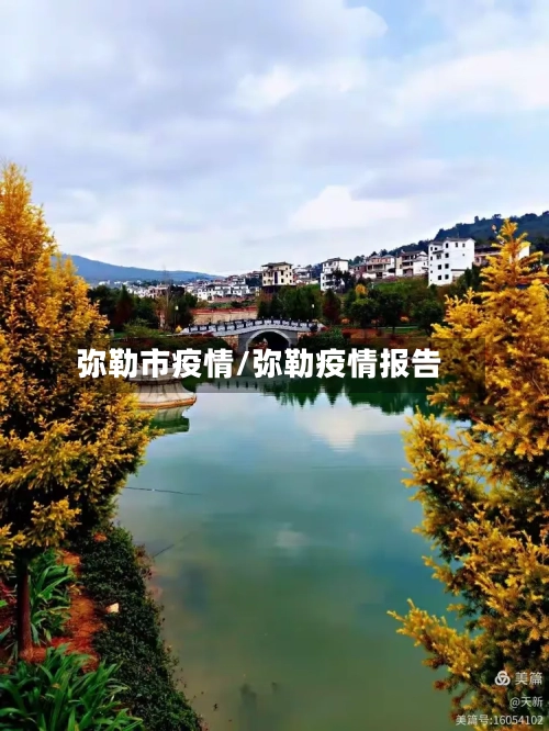 弥勒市疫情/弥勒疫情报告-第2张图片
