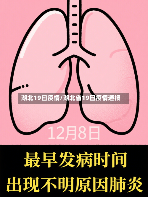 湖北19曰疫情/湖北省19日疫情通报-第2张图片