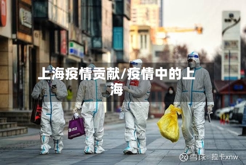 上海疫情贡献/疫情中的上海
