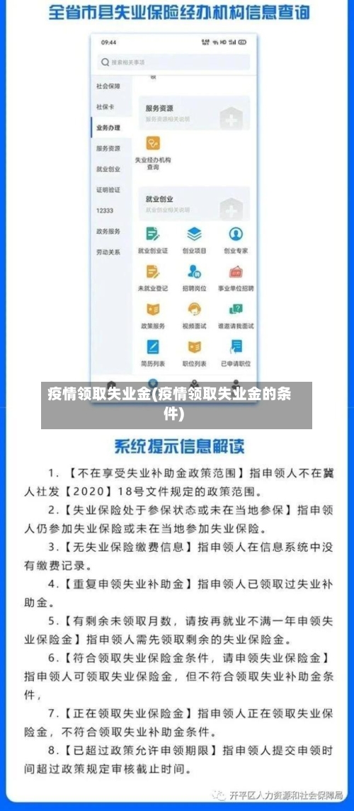 疫情领取失业金(疫情领取失业金的条件)-第2张图片