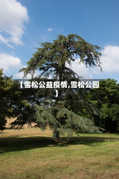 【雪松公益疫情,雪松公园】