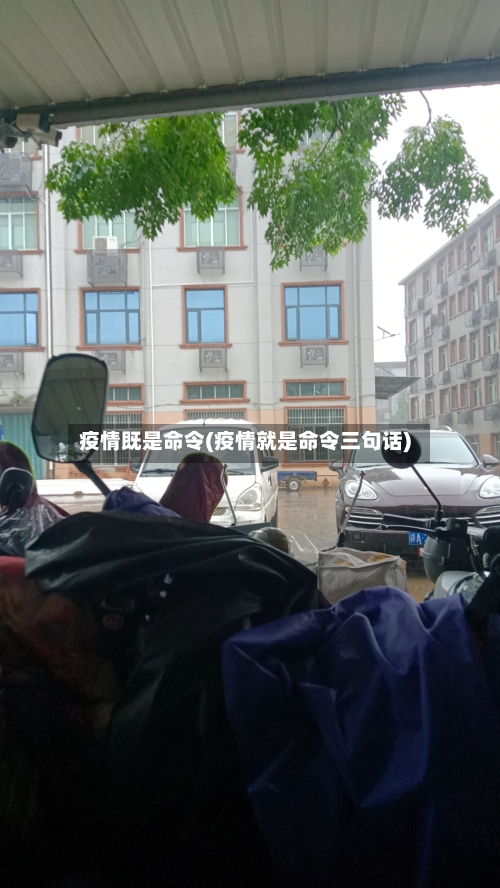 疫情既是命令(疫情就是命令三句话)