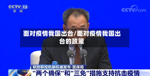 面对疫情我国出台/面对疫情我国出台的政策-第2张图片