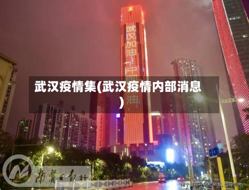 武汉疫情集(武汉疫情内部消息)