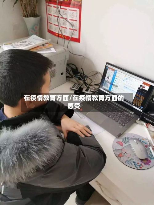 在疫情教育方面/在疫情教育方面的感受-第2张图片