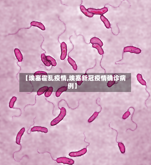 【埃塞霍乱疫情,埃塞新冠疫情确诊病例】