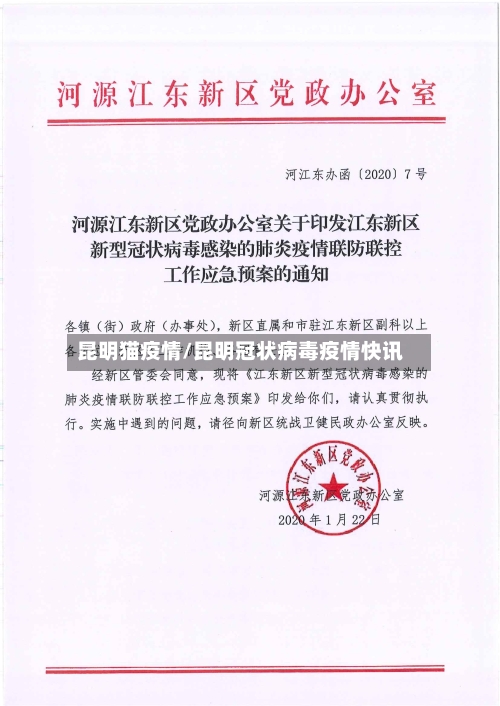 昆明猫疫情/昆明冠状病毒疫情快讯-第2张图片