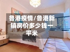 鲁港疫情/鲁港新镇房价多少钱一平米