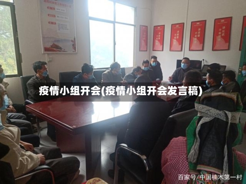 疫情小组开会(疫情小组开会发言稿)-第2张图片