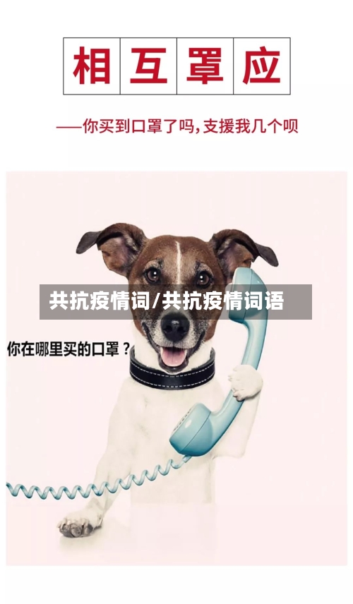 共抗疫情词/共抗疫情词语