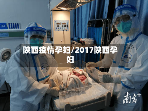 陕西疫情孕妇/2017陕西孕妇