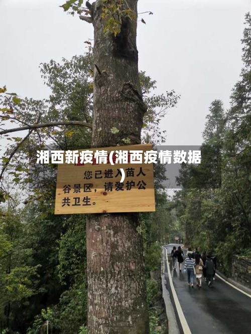 湘西新疫情(湘西疫情数据)-第3张图片