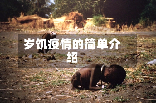 岁饥疫情的简单介绍