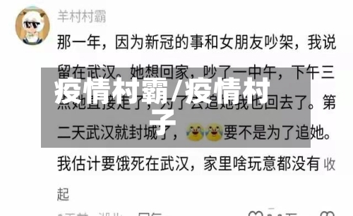 疫情村霸/疫情村子