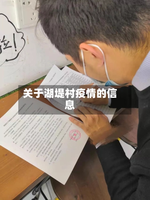 关于湖堤村疫情的信息