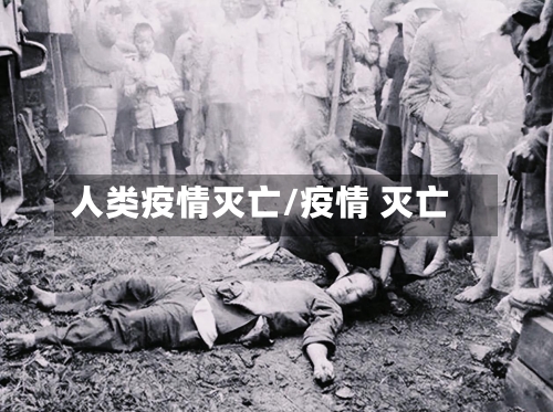 人类疫情灭亡/疫情 灭亡-第2张图片